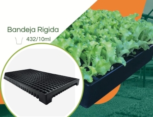 Bandeja  432/10 ml - Kit 10 pç