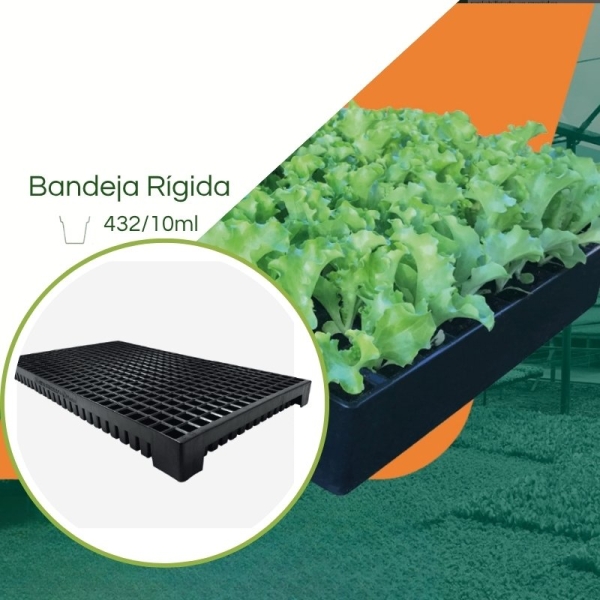 Bandeja  432/10 ml - Kit 10 pç