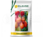 Sementes de Tomate Colt  1MX- Clause