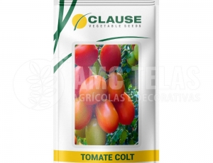 Sementes de Tomate Colt  1MX- Clause