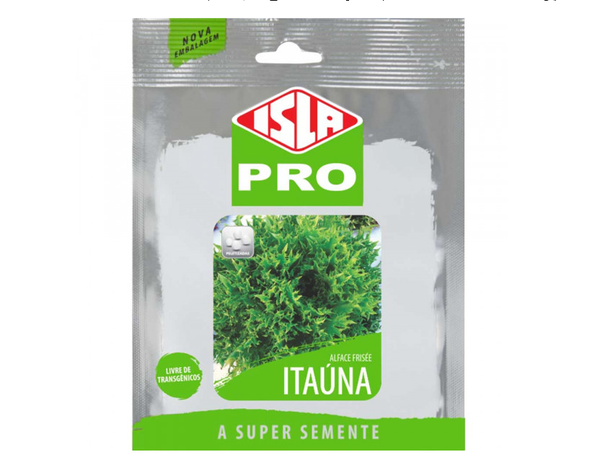 SEMENTES DE ALFACE ITAÚNA FRISÉE VERDE PELETIZADA 5MX  ISLA