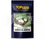 SEMENTES DE ABOBRINHA HÍBRIDA ANITA 2 MX - TOPSEED