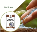 Basacote® Starter 6M 16-25-6