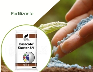 Basacote® Starter 6M 16-25-6