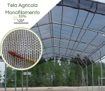 Tela de Monofilamento  50%