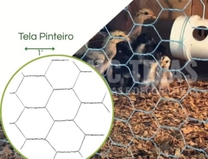 Tela Hexagonal Pinteiro  Fio 24 