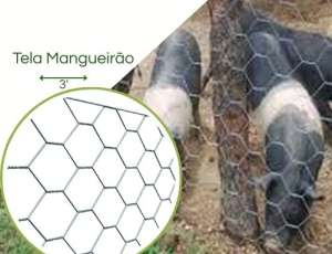 Tela Hexagonal Mangueirão  Fio 16