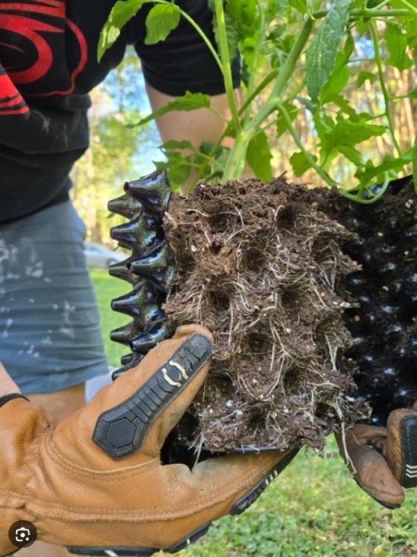 Vaso Enraizador Airpot Aeropot 21,2L 30x30  