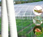 Tela Antiafideo 30 mesh  -  Malha 0,6 x 0,8 mm