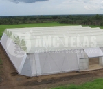 Tela Antiafideo 30 mesh  -  Malha 0,6 x 0,8 mm