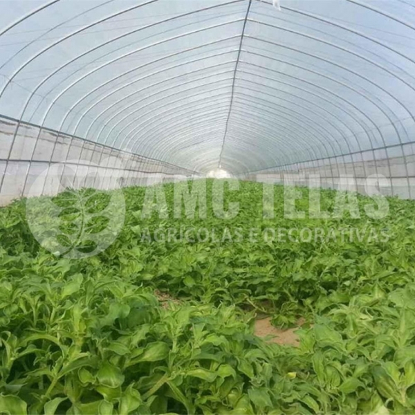 Tela Antiafideo 30 mesh  -  Malha 0,6 x 0,8 mm