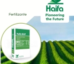  Fertilizante HAIFA MAP 12 61 00 HAIFA - 25KG