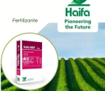 Fertilizante HAIFA MKP 00-52-34  - 25KG
